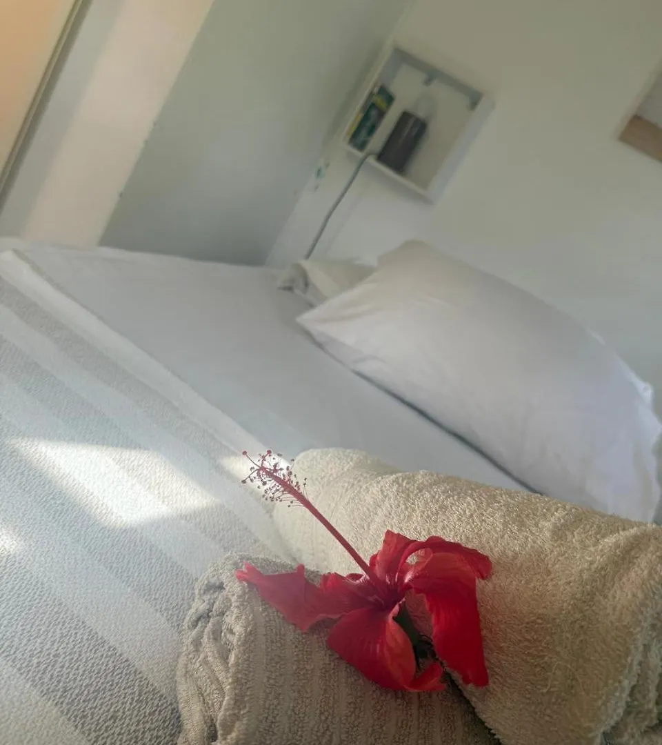 Au Coeur Du Papillon En Amoureux Piscine A Partager Goyave 0*,  Guadalupa